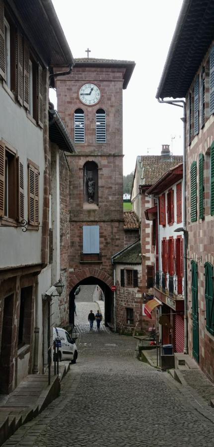 Saint Jean Pied De Port. Centre Ville. Rue Pietonne Kültér fotó