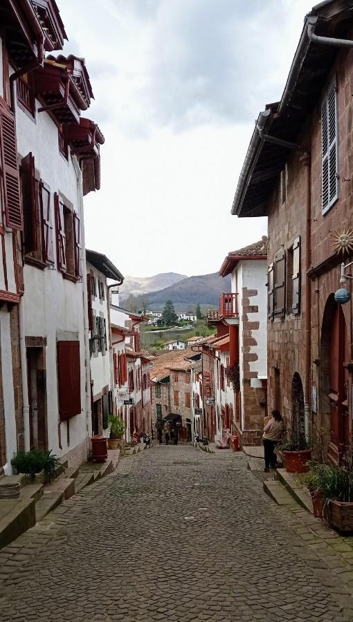 Saint Jean Pied De Port. Centre Ville. Rue Pietonne Kültér fotó